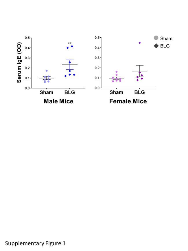 IgE Antibody in ELISA (ELISA)