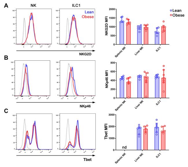 T-bet Antibody in Flow Cytometry (Flow)