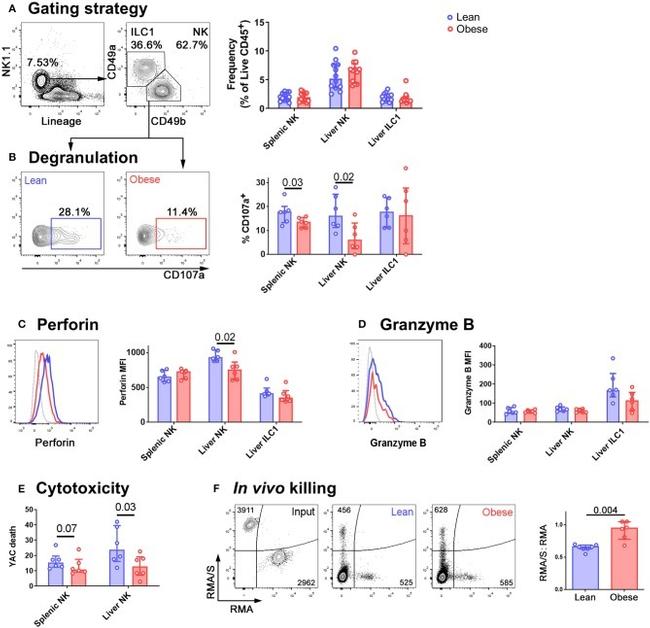 CD3 Antibody in Flow Cytometry (Flow)