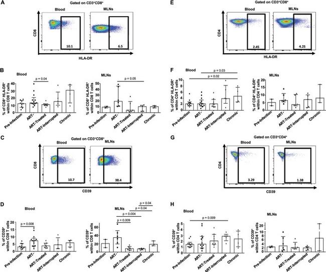 CD39 Antibody in Flow Cytometry (Flow)