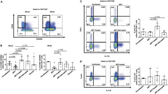 IL-17A Antibody in Flow Cytometry (Flow)