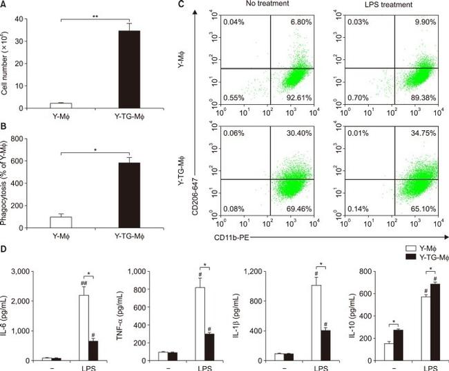 IL-1 beta Antibody in ELISA (ELISA)