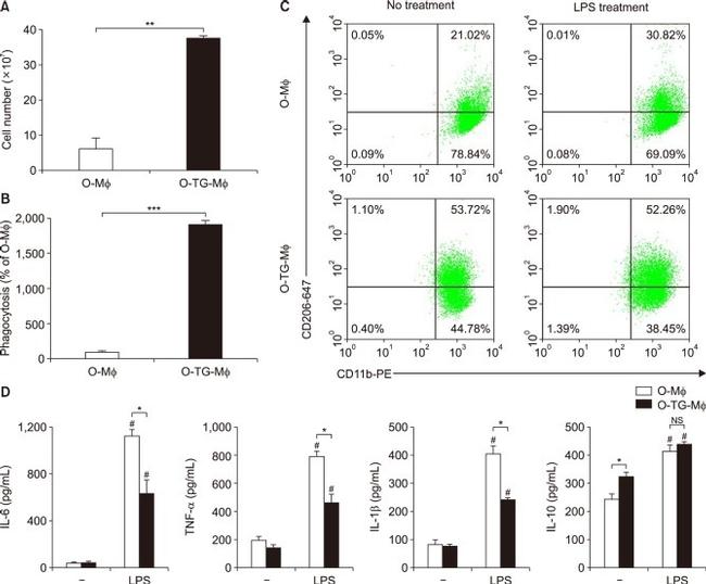 F4/80 Antibody in Flow Cytometry (Flow)