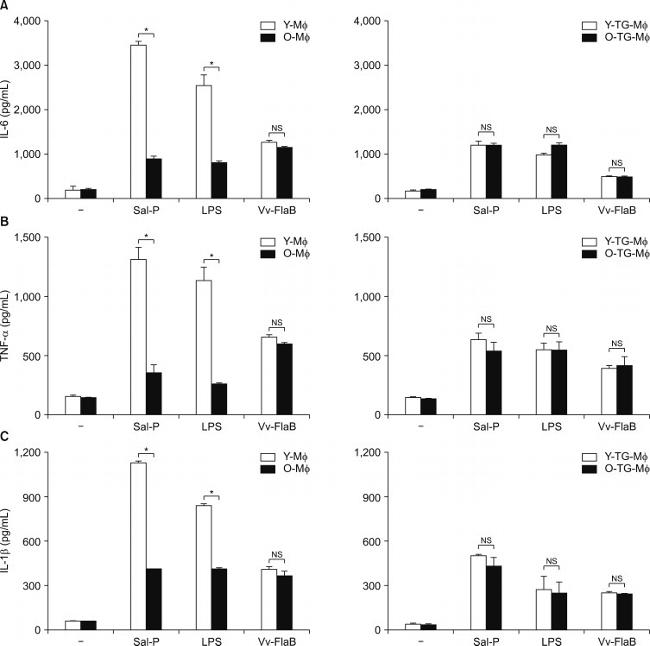 IL-1 beta Antibody in ELISA (ELISA)