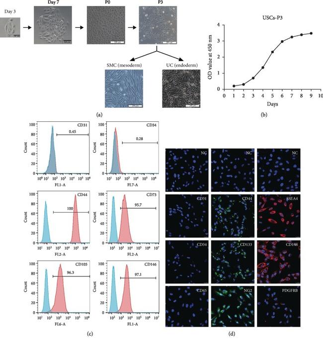 CD34 Antibody in Flow Cytometry (Flow)