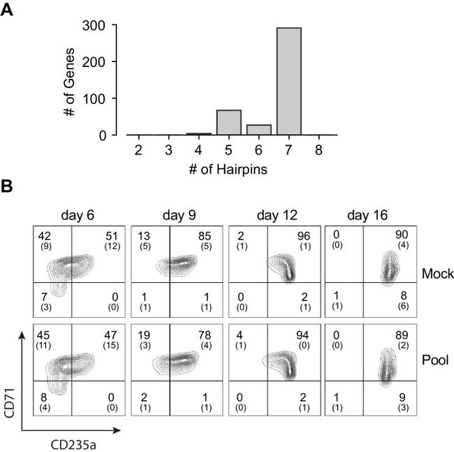 CD71 (Transferrin Receptor) Antibody in Flow Cytometry (Flow)