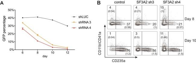 CD11b Antibody in Flow Cytometry (Flow)