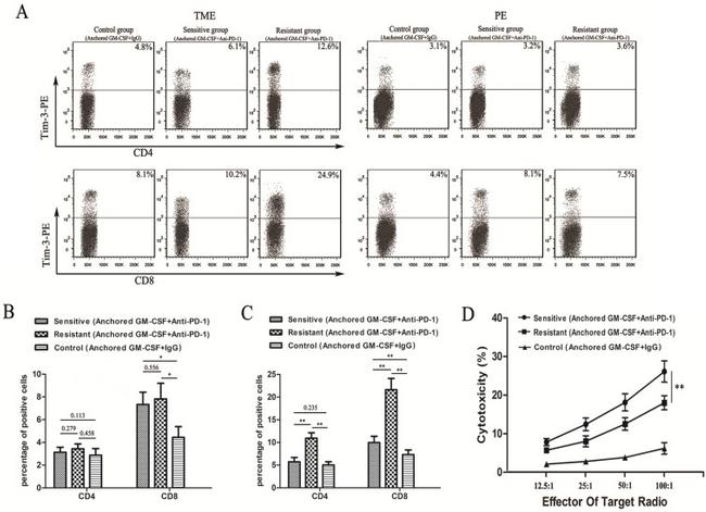 CD8a Antibody in Flow Cytometry (Flow)