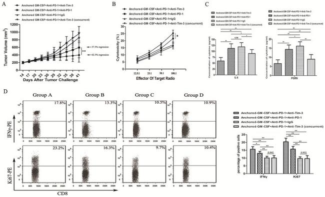 CD8a Antibody in Flow Cytometry (Flow)