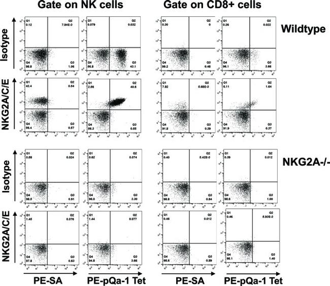 NKG2A/C/E Antibody in Flow Cytometry (Flow)