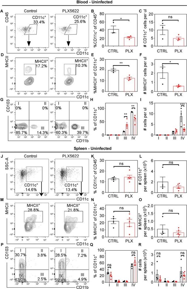 CD103 (Integrin alpha E) Antibody in Flow Cytometry (Flow)