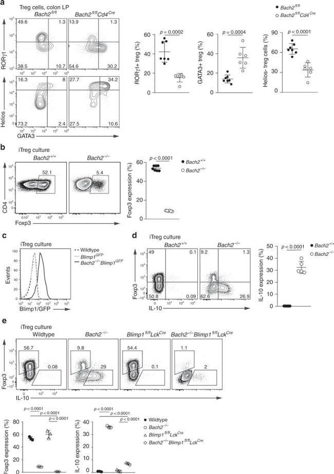 Gata-3 Antibody in Flow Cytometry (Flow)