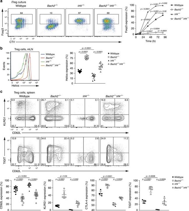 TIGIT Antibody in Flow Cytometry (Flow)