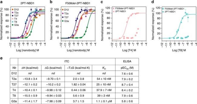 6x-His Tag Antibody in ELISA (ELISA)