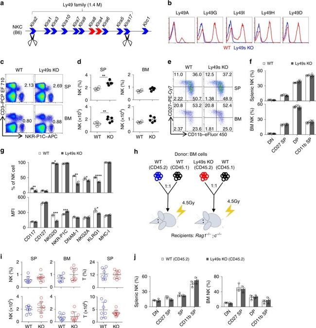 CD3e Antibody in Flow Cytometry (Flow)