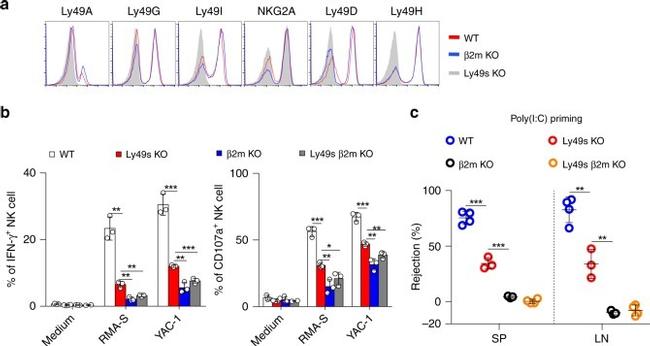 NKG2AB6 Antibody in Flow Cytometry (Flow)