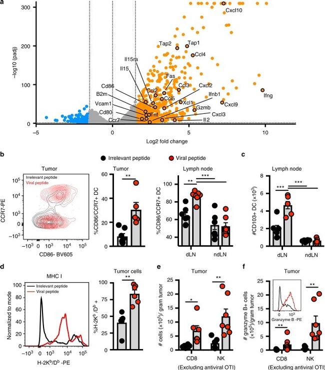 CD103 (Integrin alpha E) Antibody in Flow Cytometry (Flow)