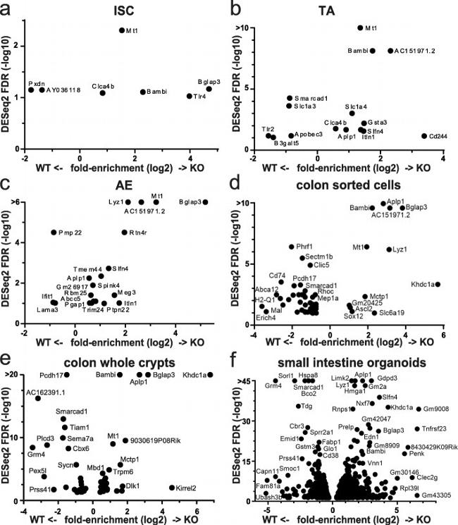 CD326 (EpCAM) Antibody in Flow Cytometry (Flow)