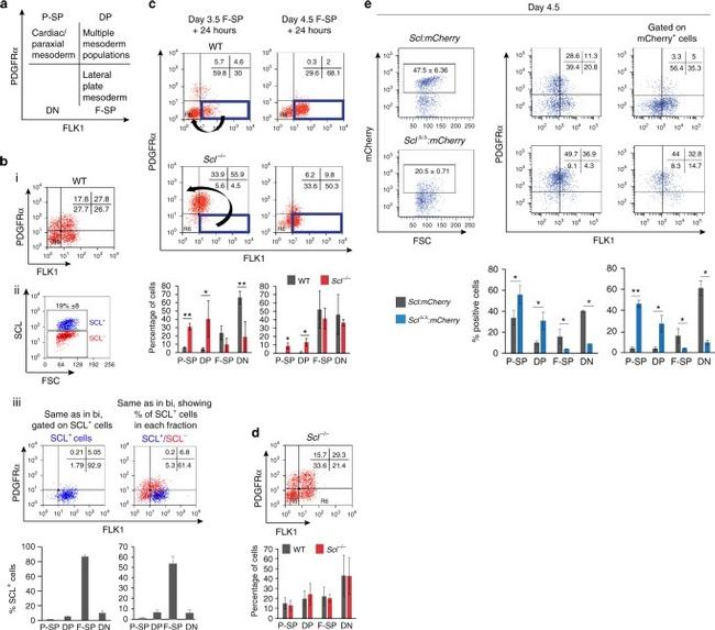 CD140a (PDGFRA) Antibody in Flow Cytometry (Flow)