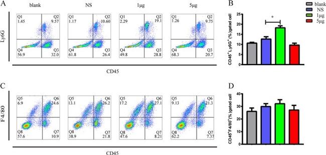 Ly-6G/Ly-6C Antibody in Flow Cytometry (Flow)