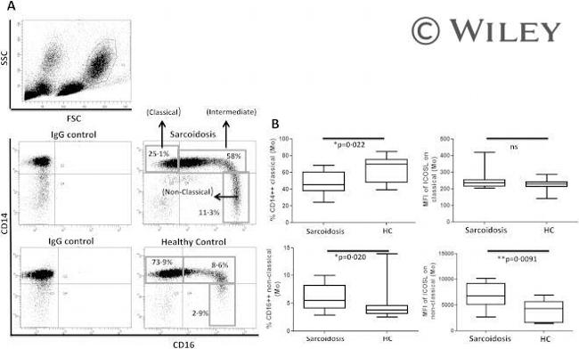 CD275 (B7-H2) Antibody in Flow Cytometry (Flow)