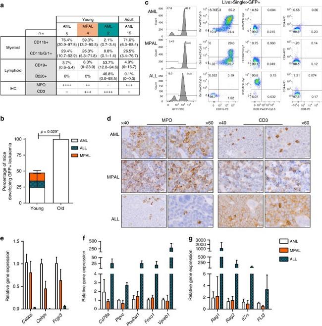 CD3e Antibody in Flow Cytometry (Flow)