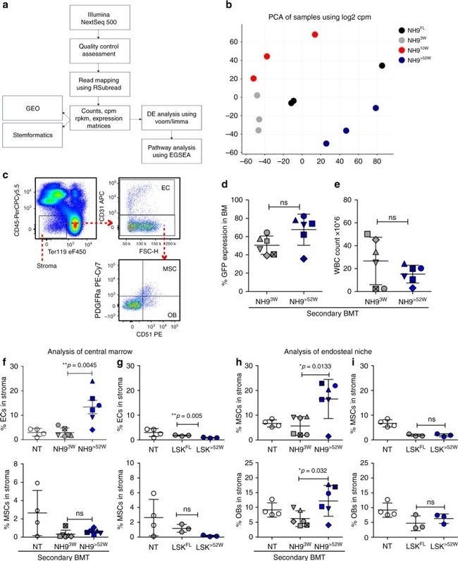 CD31 (PECAM-1) Antibody in Flow Cytometry (Flow)