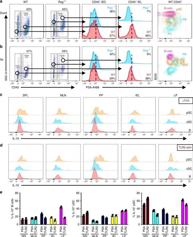 CD45R (B220) Antibody in Flow Cytometry (Flow)