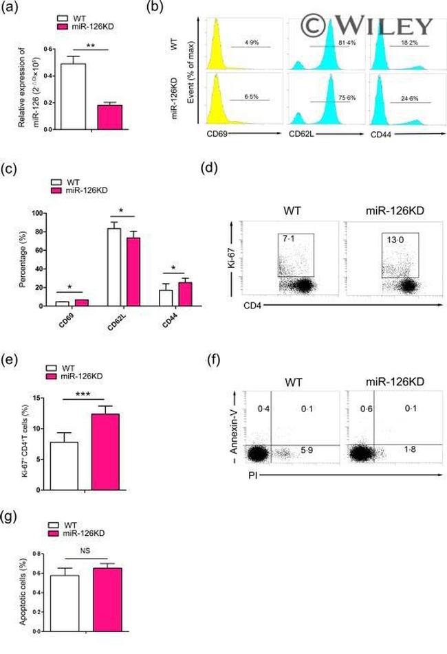 CD69 Antibody in Flow Cytometry (Flow)