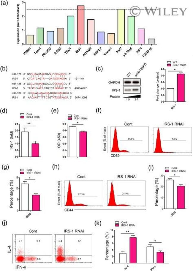 CD69 Antibody in Flow Cytometry (Flow)