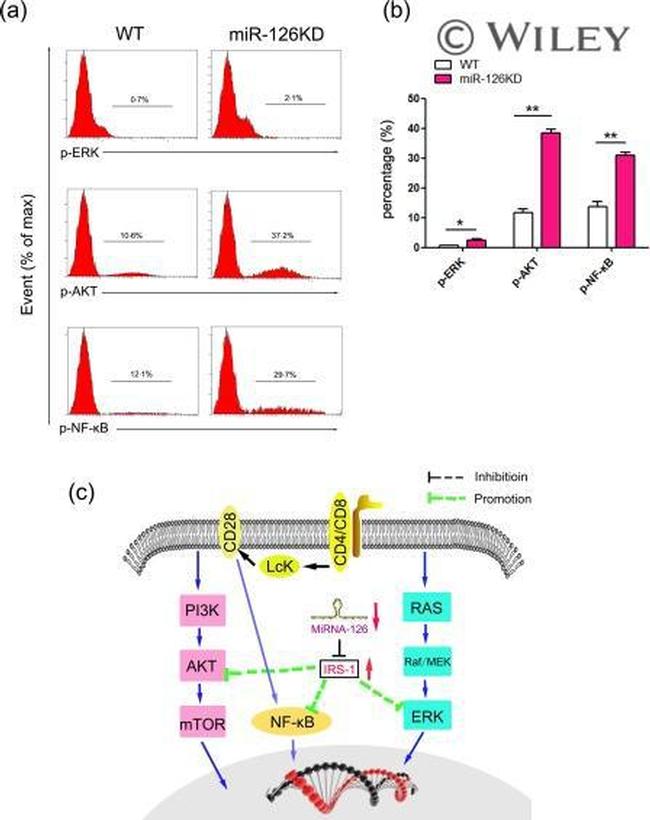 Phospho-ERK1/2 (Thr202, Tyr204) Antibody in Flow Cytometry (Flow)