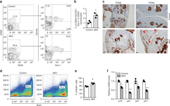 Ly-6A/E (Sca-1) Antibody in Flow Cytometry (Flow)