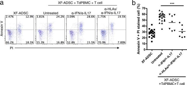 IL-17A Antibody in Flow Cytometry, Neutralization (Flow, Neu)