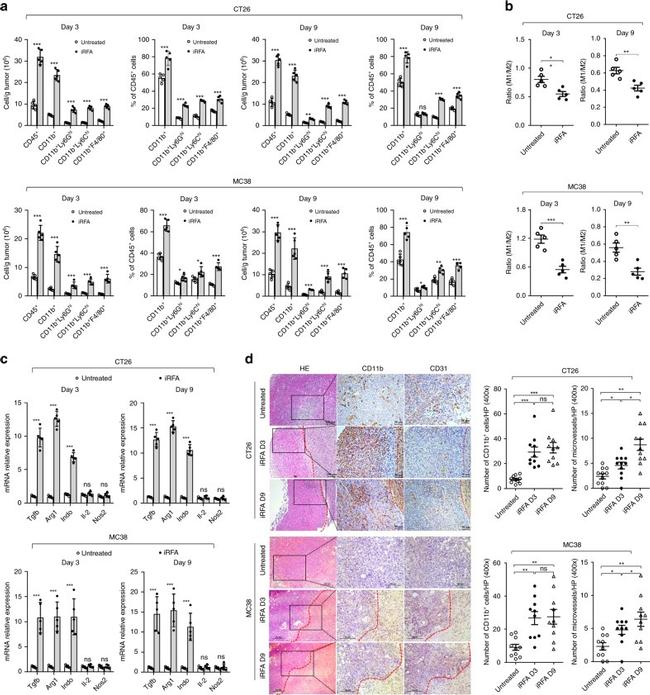 Ly-6G Antibody in Flow Cytometry (Flow)