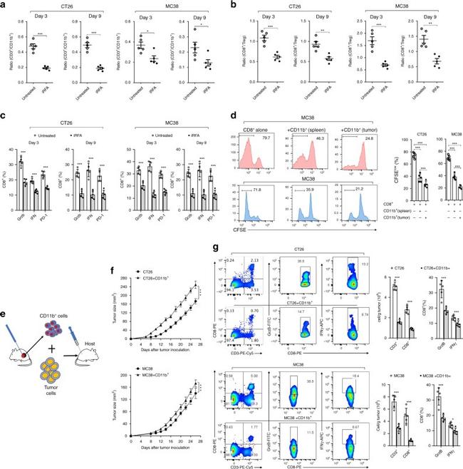 CD8 alpha Antibody in Flow Cytometry (Flow)