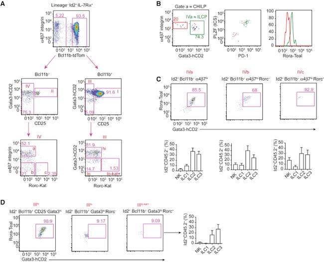 CD25 Antibody in Flow Cytometry (Flow)