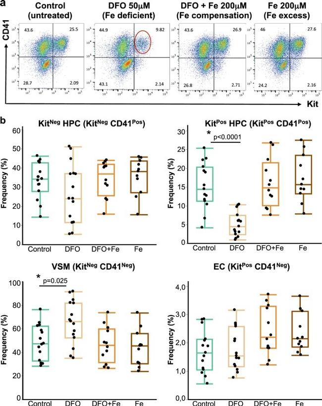 CD41a Antibody in Flow Cytometry (Flow)