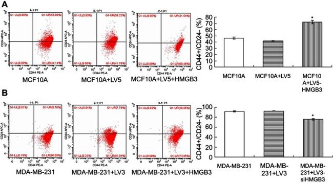 CD44 Antibody in Flow Cytometry (Flow)