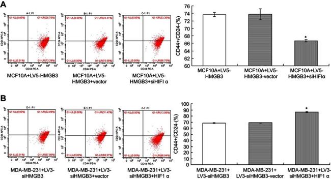 CD24 Antibody in Flow Cytometry (Flow)