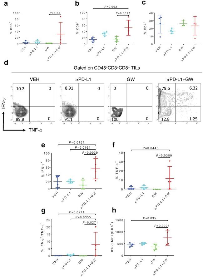 CD45 Antibody in Flow Cytometry (Flow)