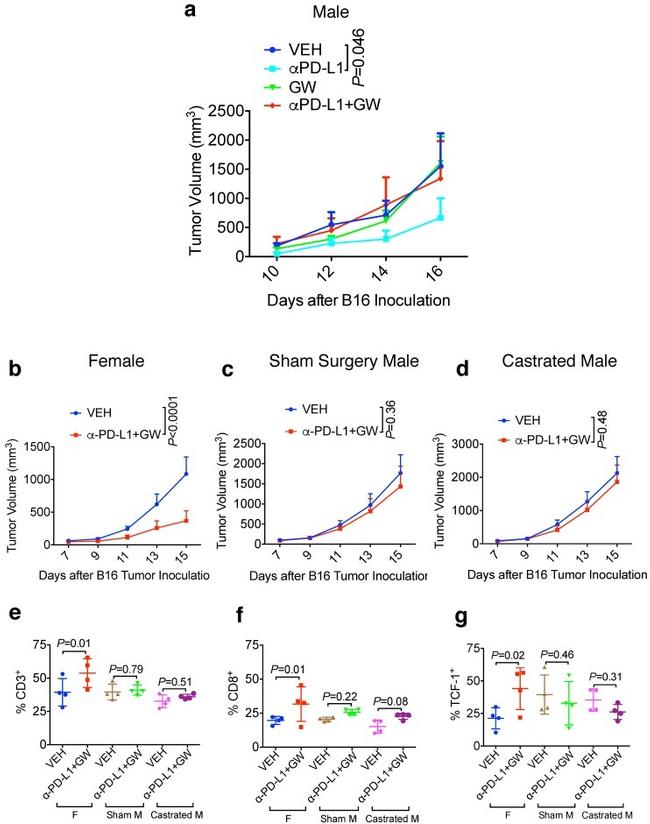 CD45 Antibody in Flow Cytometry (Flow)