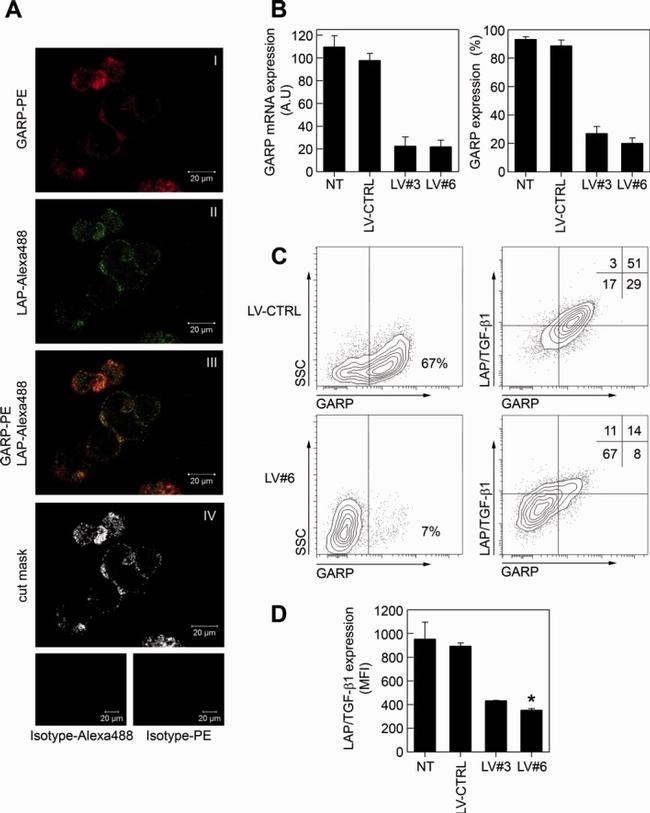 GARP Antibody in Flow Cytometry (Flow)