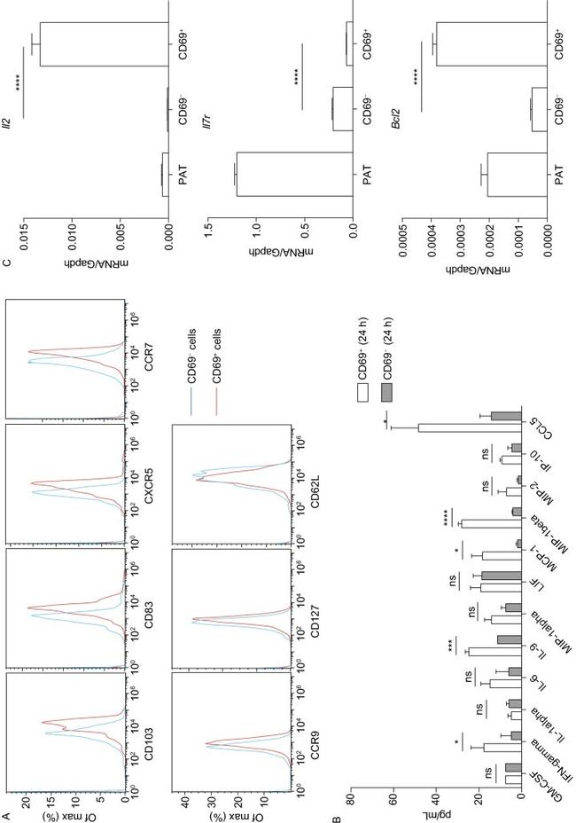 CD69 Antibody in Flow Cytometry, ELISA (Flow, ELISA)