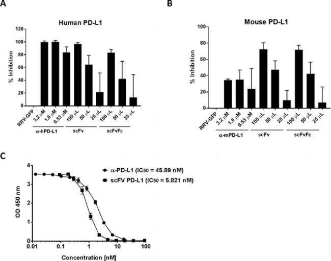 CD274 (PD-L1, B7-H1) Antibody in ELISA (ELISA)