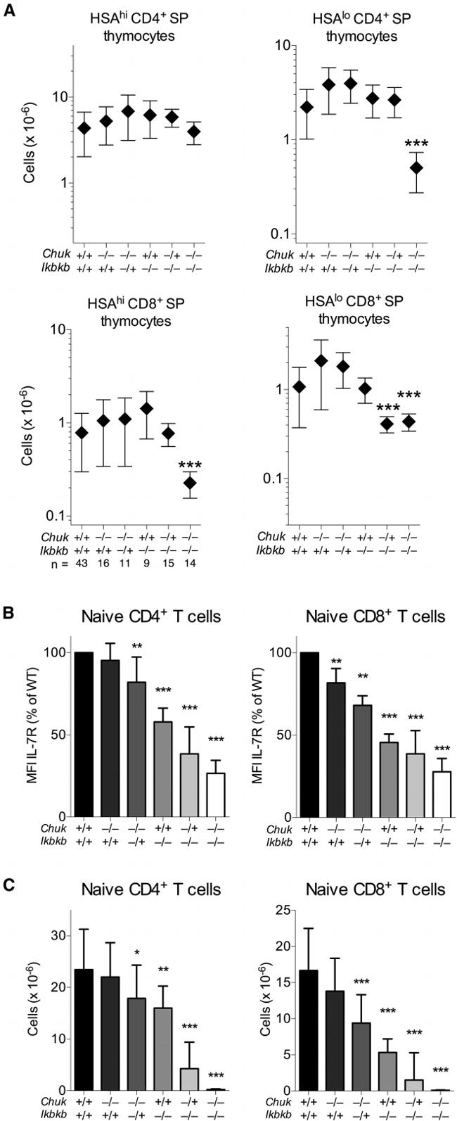 CD127 Antibody in Flow Cytometry (Flow)