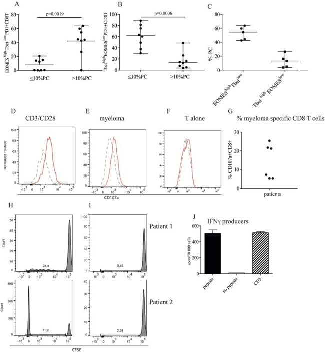 CD107a (LAMP-1) Antibody in Flow Cytometry (Flow)