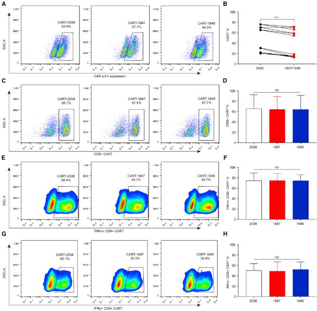 TNF alpha Antibody in Flow Cytometry (Flow)