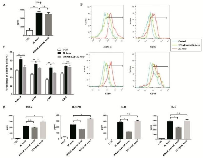 CD40 Antibody in Flow Cytometry (Flow)