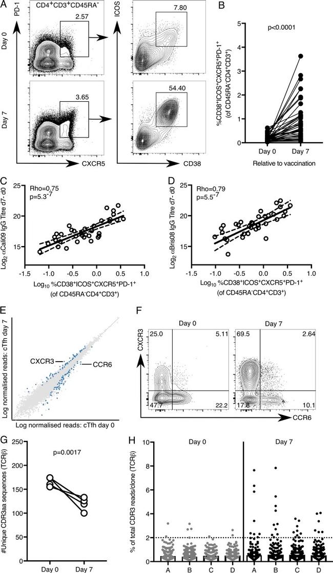 CD278 (ICOS) Antibody in Flow Cytometry (Flow)