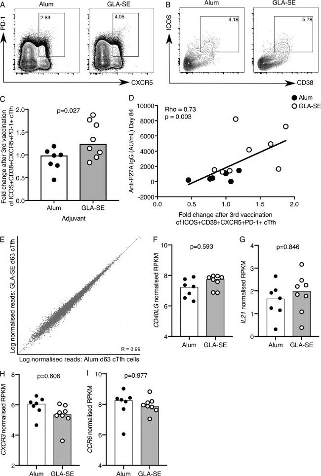 CD279 (PD-1) Antibody in Flow Cytometry (Flow)